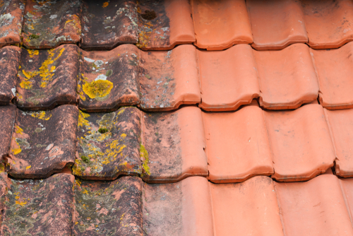 What Are The Different Types Of Roof in Singapore?