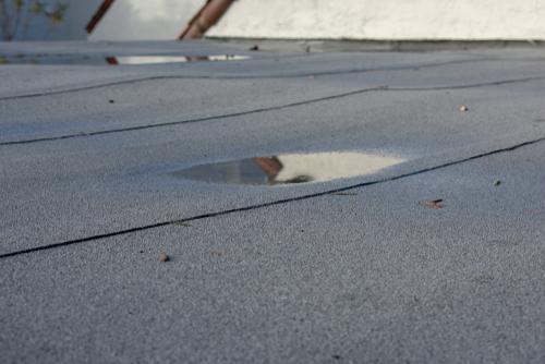 DIY Solutions for a Leaking Roof
