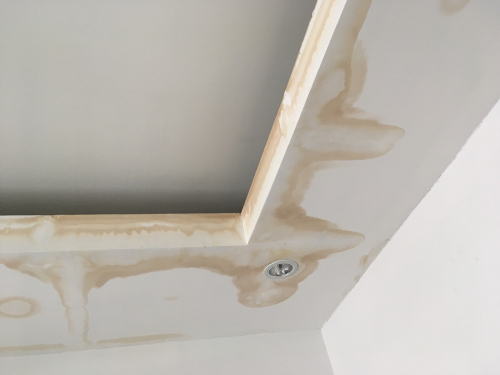 Preventing Mold and Mildew Roof Waterproofing