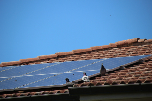 Tiled Roofing and Solar Panels A Sustainable Duo