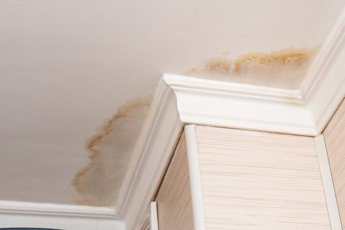 Why Roof Waterproofing Matters